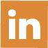 LinkedIn Icon